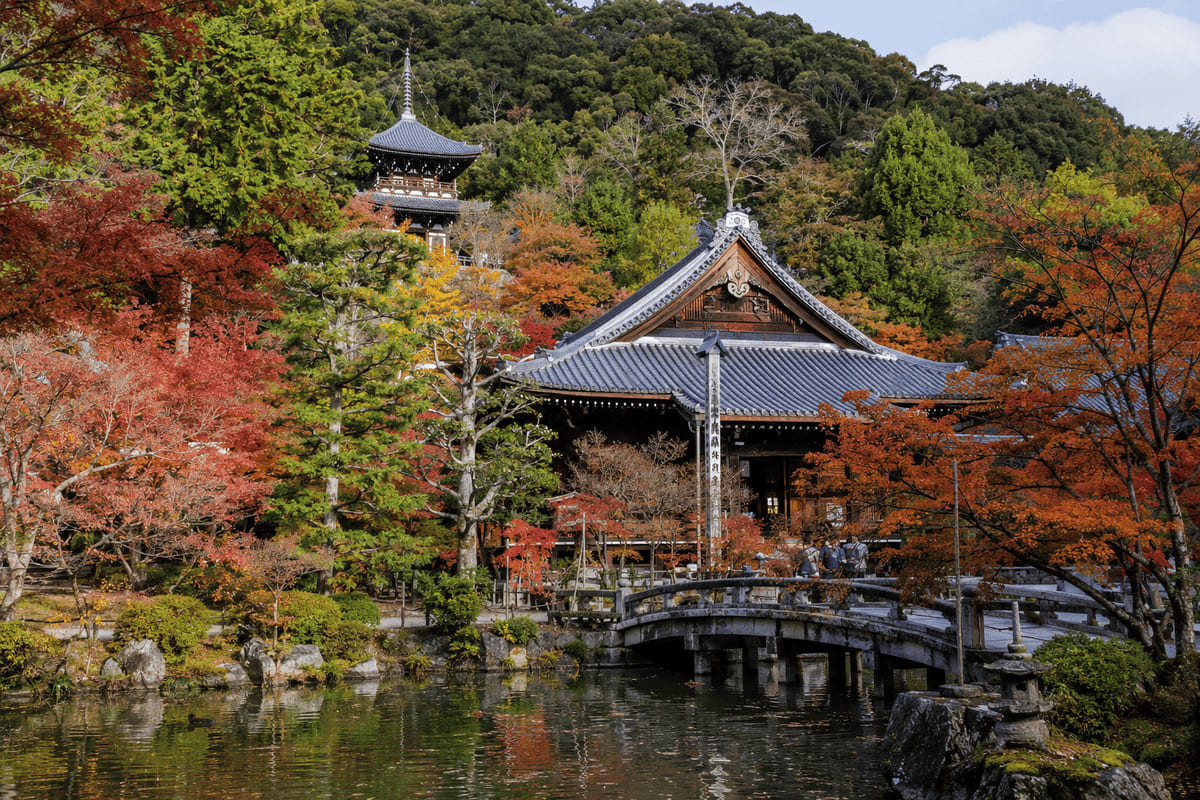 哲学之道樱花季旅拍路线